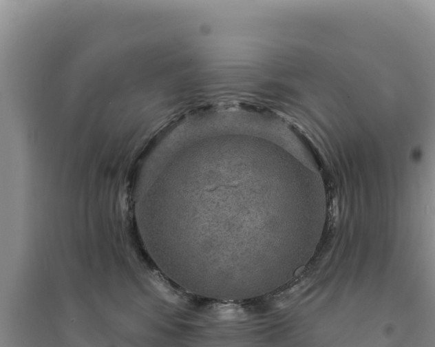 X0000094350424200711091456