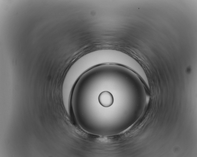 X0000094350425200711091456