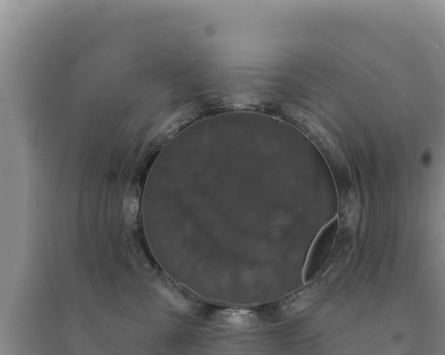 X0000094350427200711091456