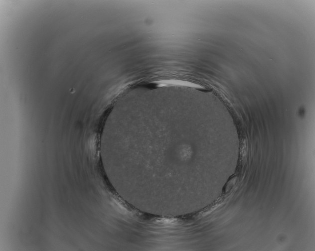 X0000094350428200711091456