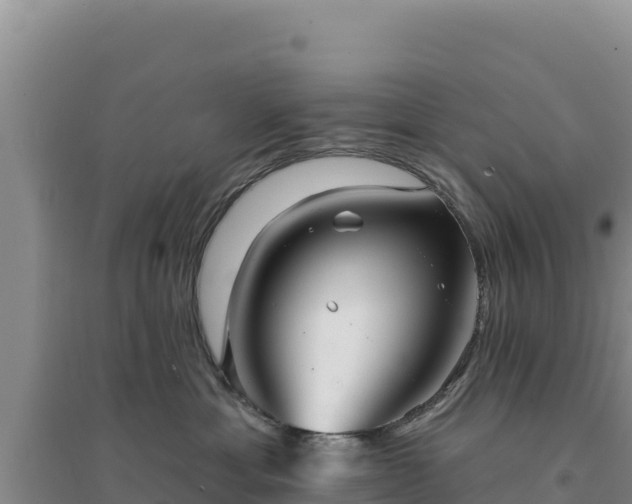 X0000094350429200711091456