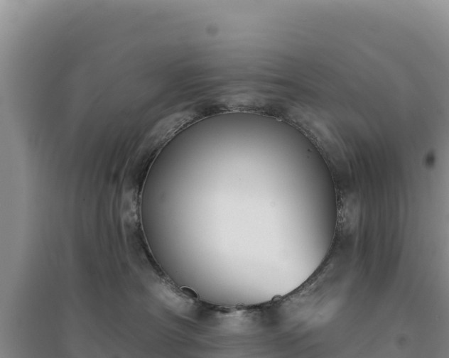 X0000094350430200711091456