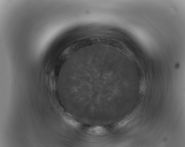 X0000094350431200711091456