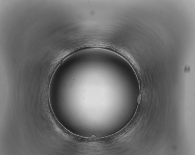 X0000094350433200711091456