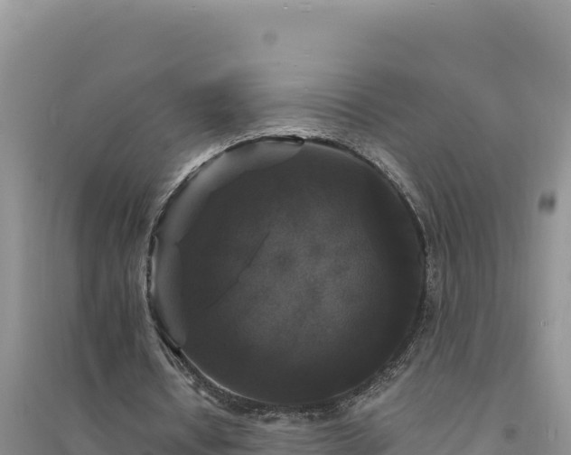 X0000094350434200711091456