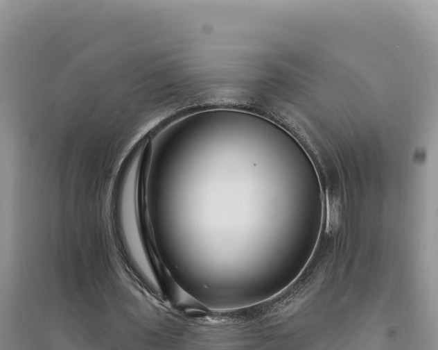 X0000094350435200711091456