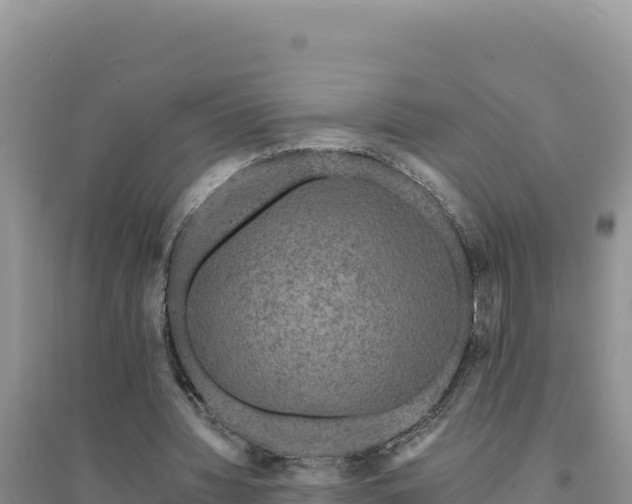 X0000094350436200711091456