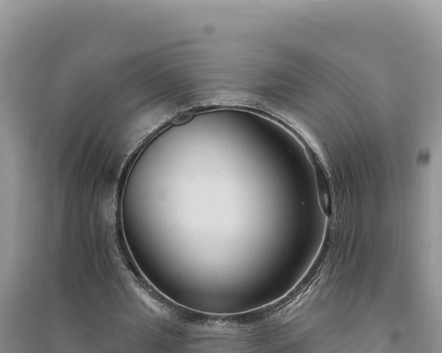 X0000094350437200711091456