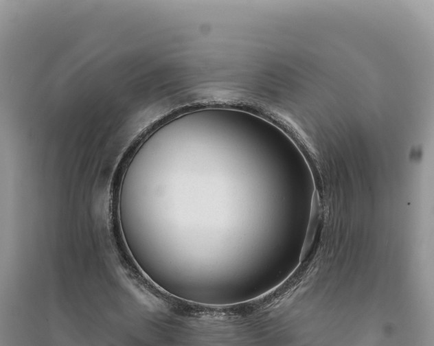 X0000094350439200711091456