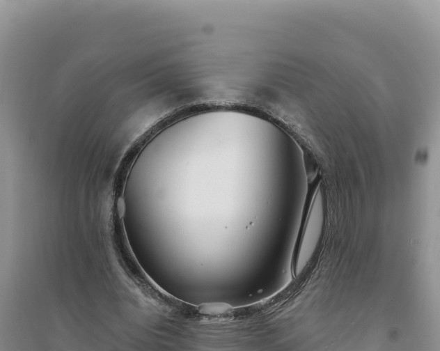 X0000094350440200711091456