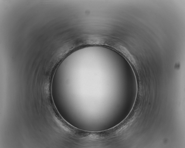 X0000094350441200711091456