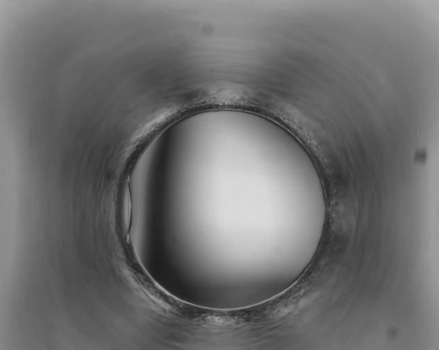 X0000094350442200711091456