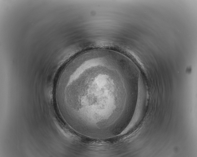 X0000094350443200711091456