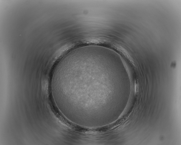 X0000094350444200711091456