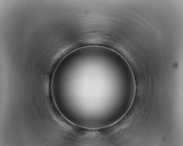 X0000094350446200711091456