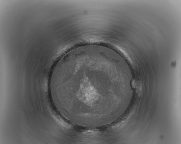 X0000094350447200711091456