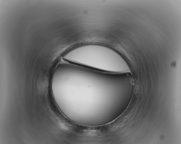 X0000094350448200711091456