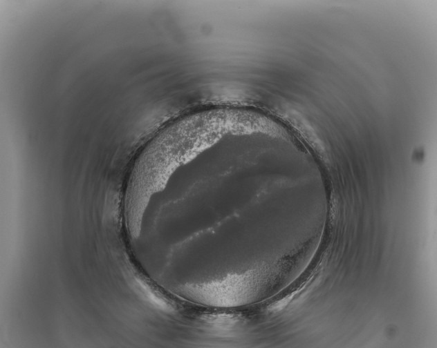 X0000094350449200711091456