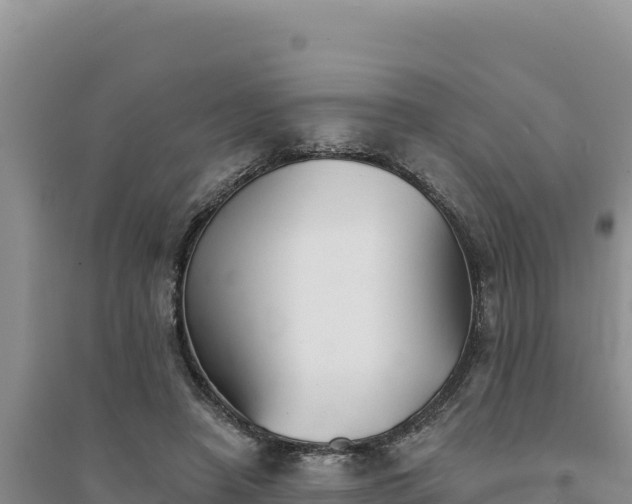 X0000094350450200711091456