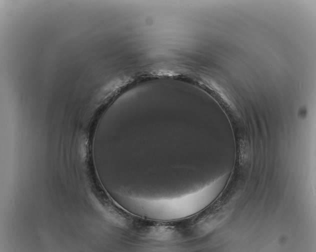 X0000094350451200711091456