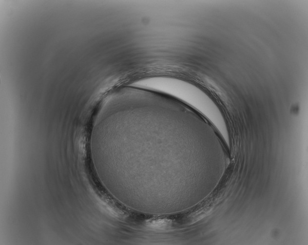 X0000094350452200711091456