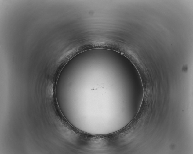 X0000094350454200711091456