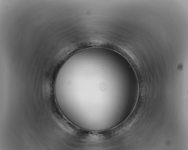 X0000094350455200711091456