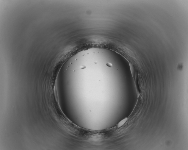 X0000094350456200711091456