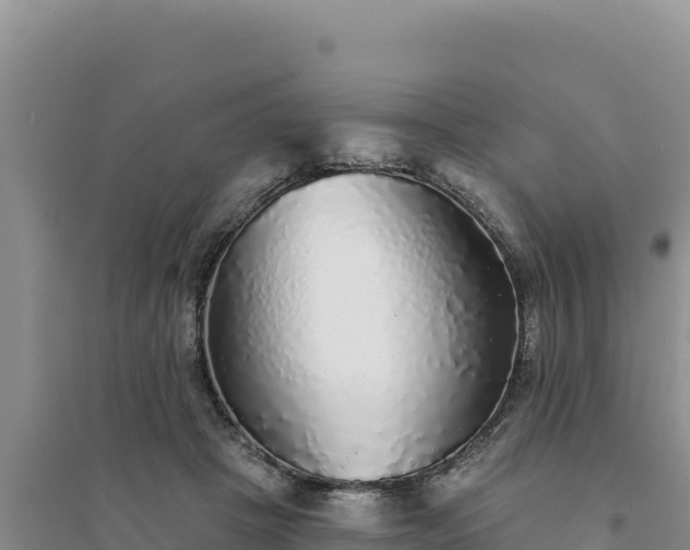 X0000094350457200711091456