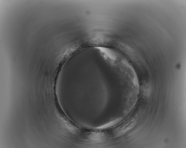 X0000094350458200711091456