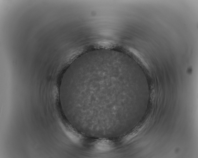 X0000094350459200711091456