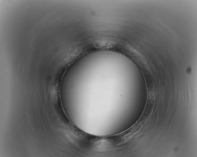 X0000094350460200711091456