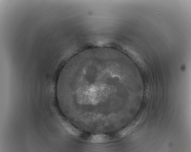 X0000094350461200711091456