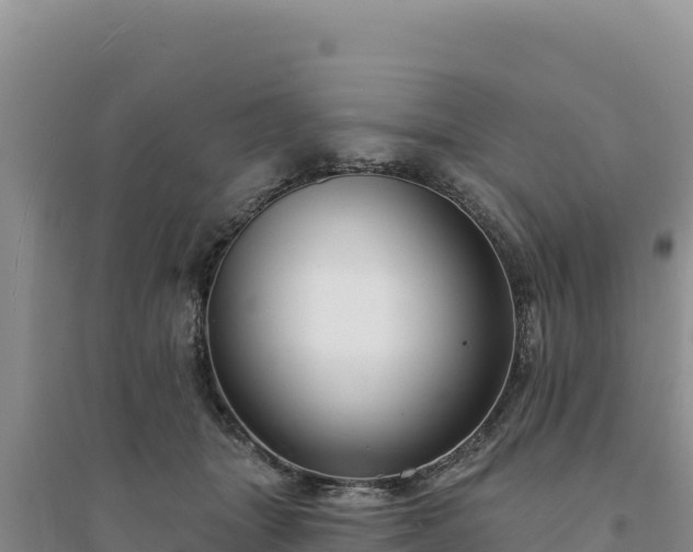 X0000094350463200711091456