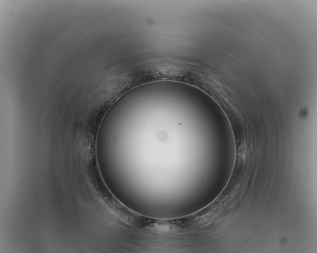 X0000094350464200711091456