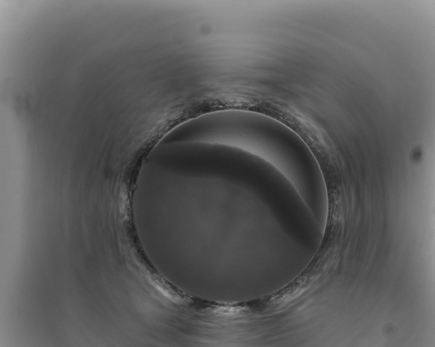 X0000094350465200711091456