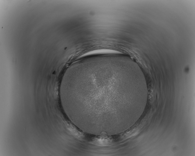 X0000094350466200711091456