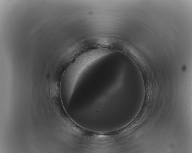 X0000094350467200711091456