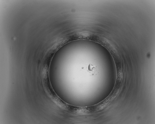 X0000094350468200711091456