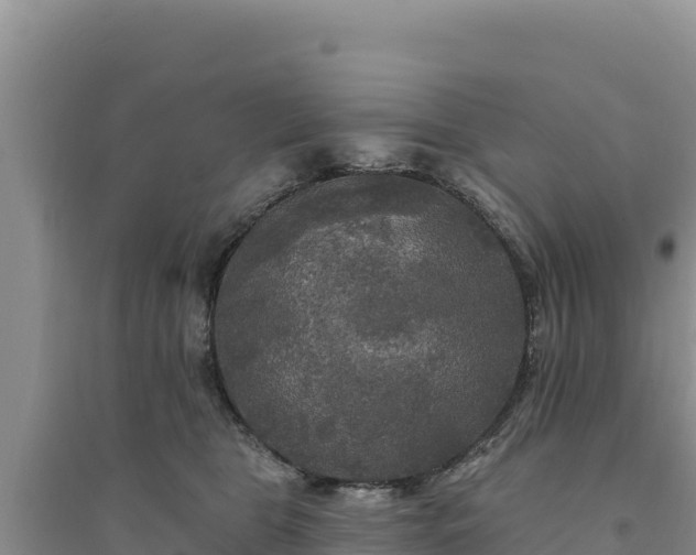 X0000094350469200711091456