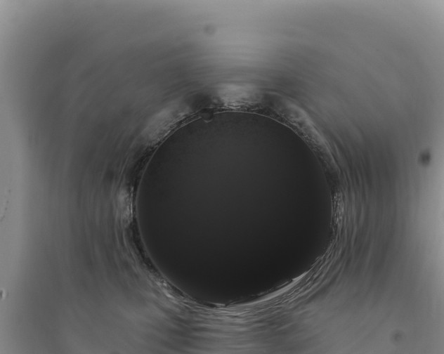 X0000094350471200711091456