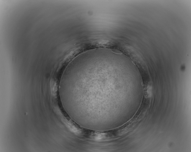 X0000094350472200711091456