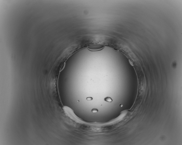 X0000094350473200711091456