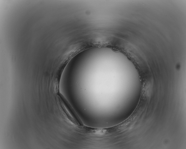 X0000094350474200711091456