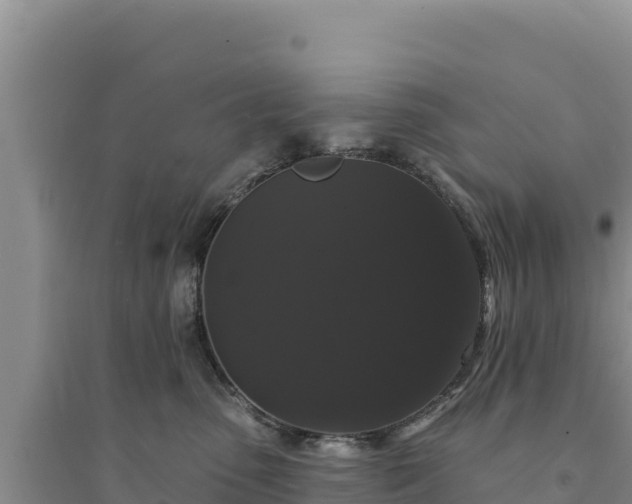 X0000094350475200711091456