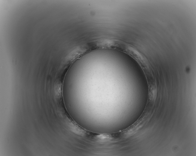 X0000094350477200711091456