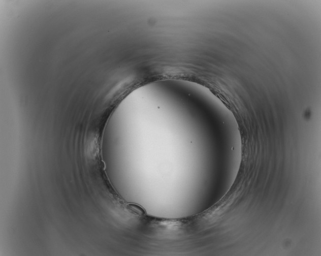 X0000094350478200711091456