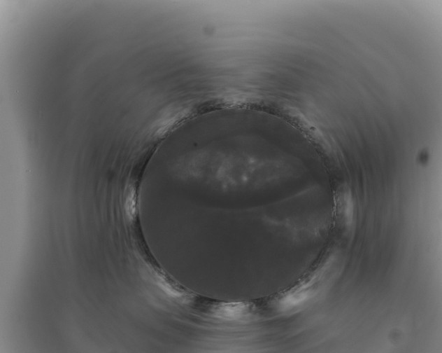 X0000094350479200711091456