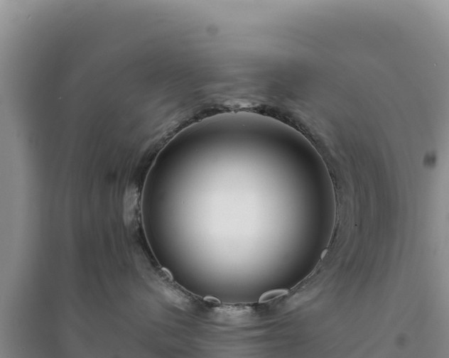 X0000094350480200711091456