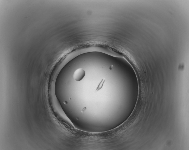 X0000094350482200711091456